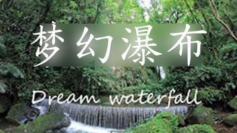 寻找丢失的金币